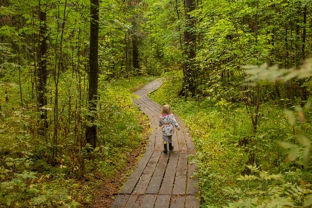 Child trail forest walk Photo