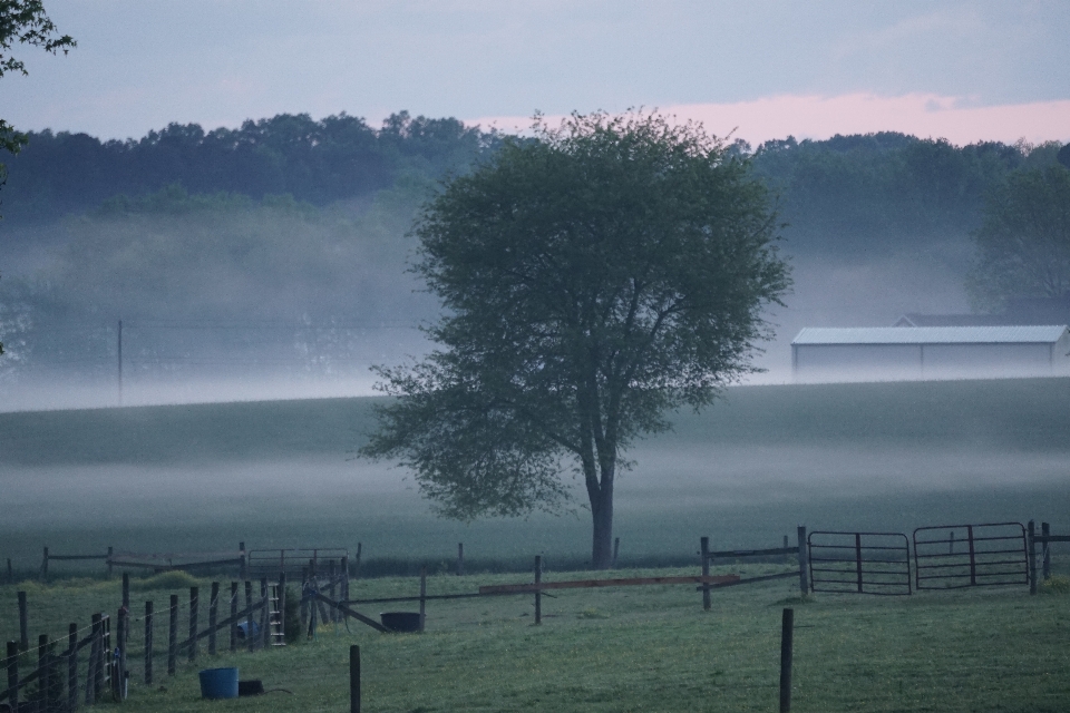 Fence field fog sunset