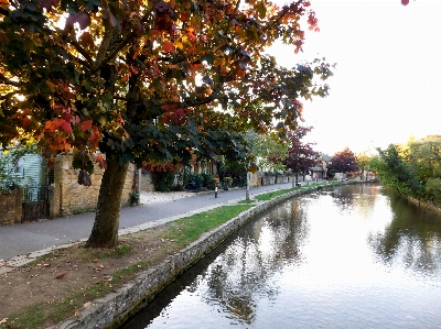 Foto Cotswolds
 bourton na água
 inglaterra stream