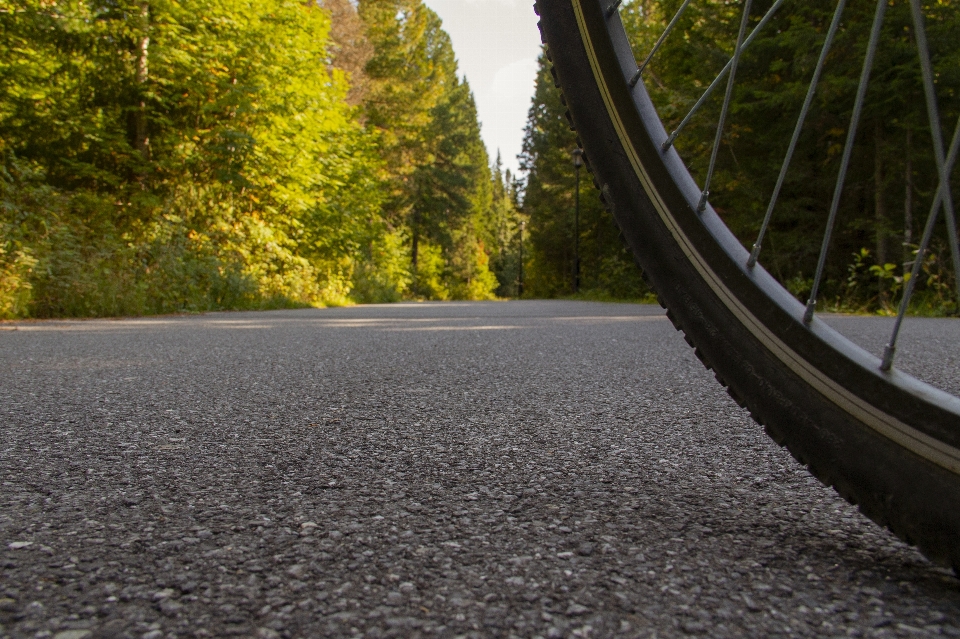 Asphalt wheel bike spokes