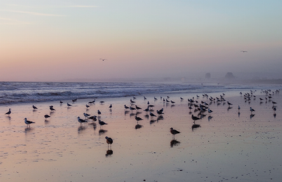 Mar céu água oceano