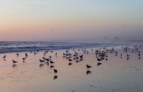 Sea sky water ocean Photo