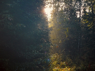 Bild natur sonnenlicht atmosphärisches phänomen
 Foto