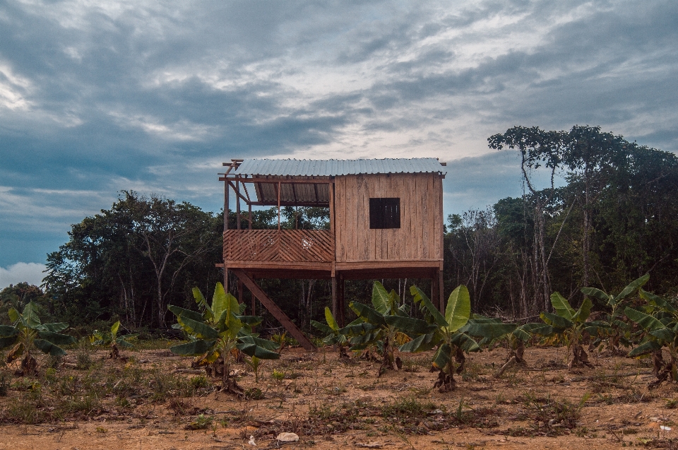 House manaus amazonas sky