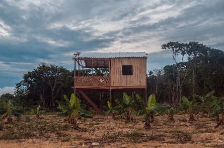 House manaus amazonas sky Photo