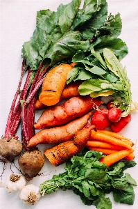 Food carrot vegetable leaf Photo