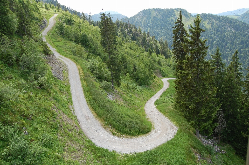 Morfologie montuose
 passo di montagna
 montagna strada