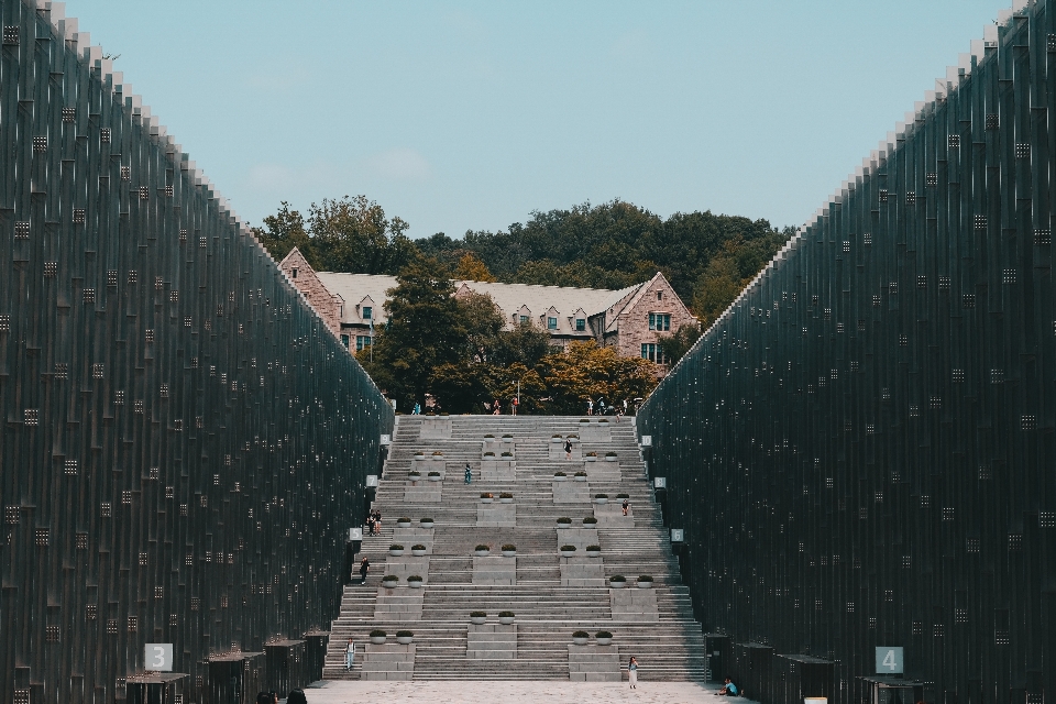 Architecture wall tree monument