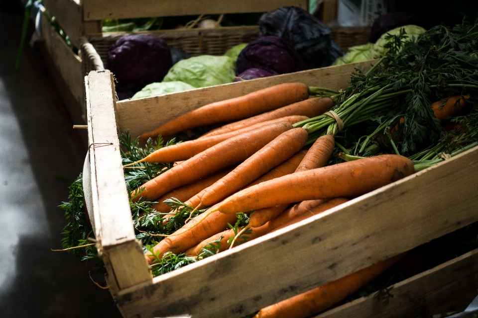 Carrot local food vegetable