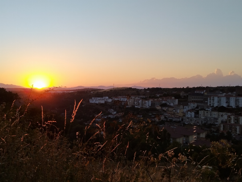 Sonnenuntergang himmel horizont sonnenaufgang