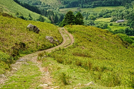 Wales natural landscape vegetation highland Photo