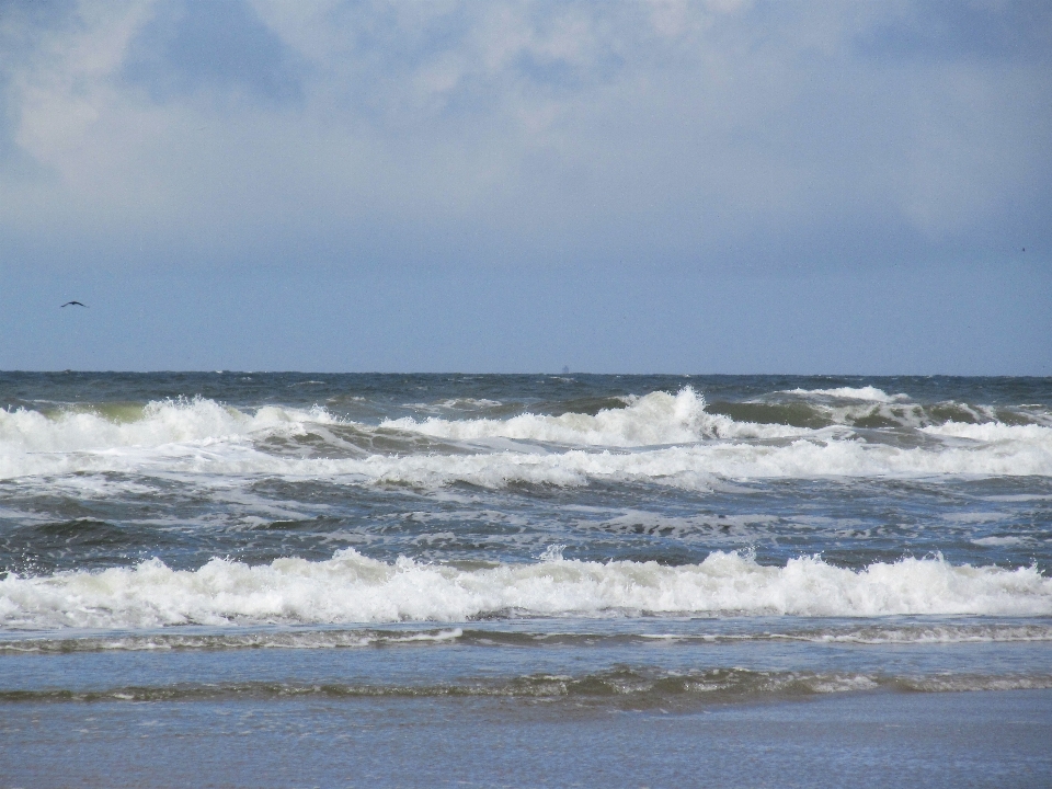 Laut pantai berselancar musim panas