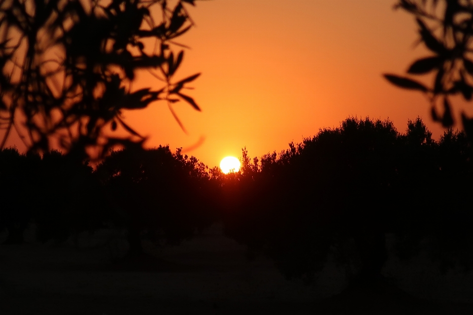 Sonnenaufgang meereslandschaft
 horizont himmel