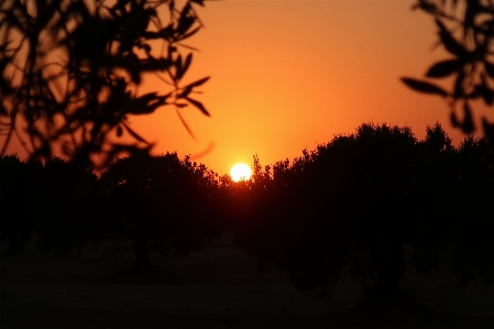 Sunrise seascape horizon sky Photo