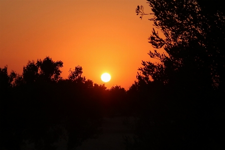 Sunrise seascape horizon sky Photo