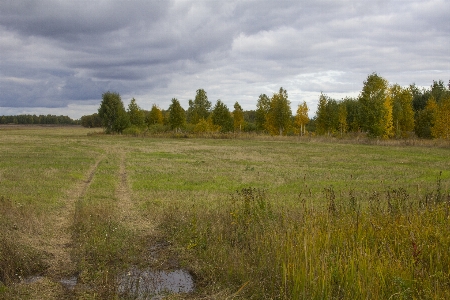 Autumn landscape field road Photo