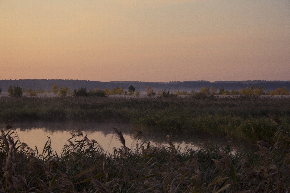 River dawn fog frost