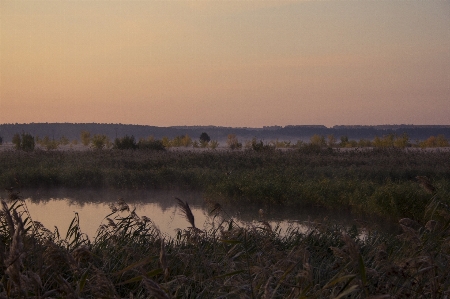 River dawn fog frost Photo