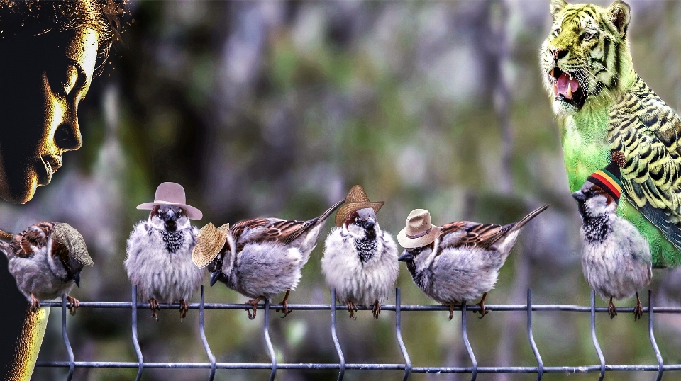 Plama tło portret natura