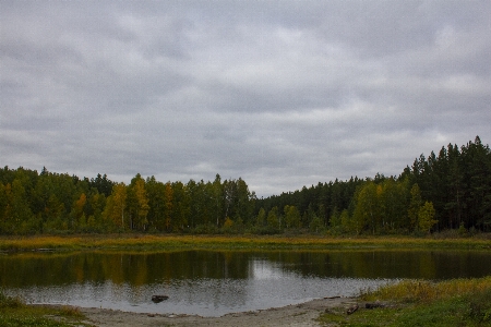 Autumn water fall field Photo