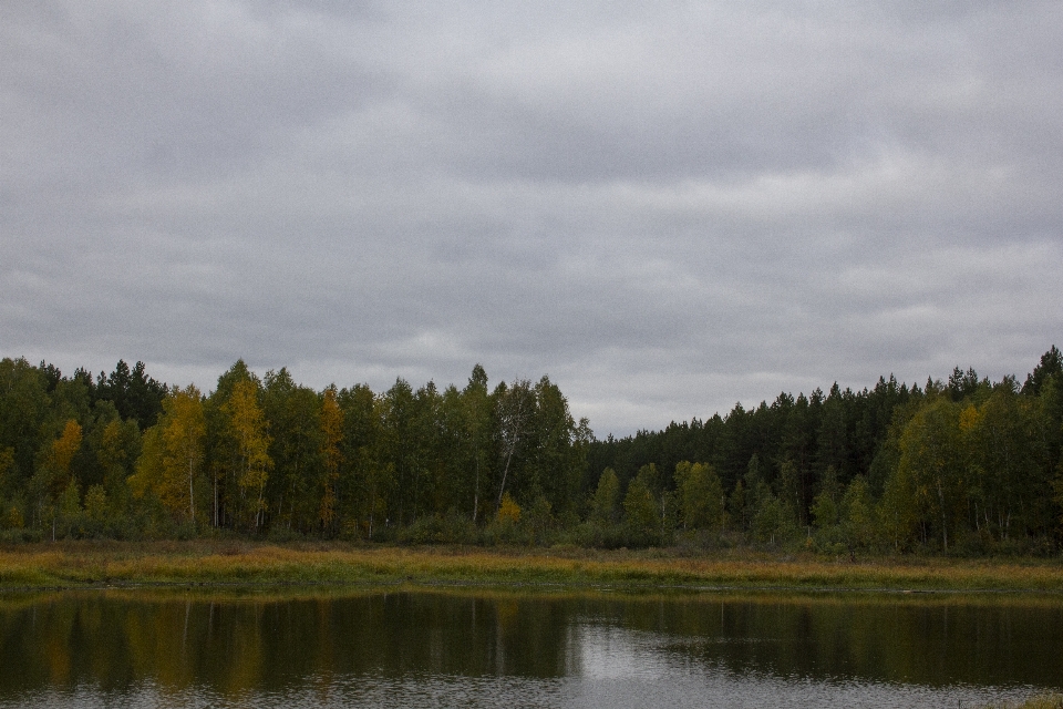 Autumn water fall field