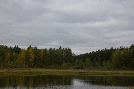 Autumn water fall field Photo