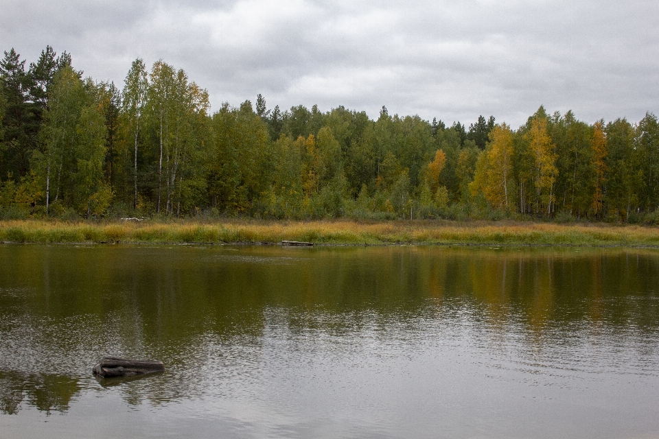 Autumn body of water fall field