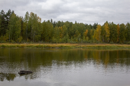 Autumn body of water fall field Photo