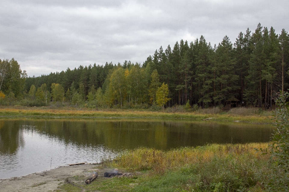 Jesień zbiornik wodny
 pole wędkarstwo