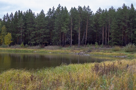 Autumn body of water fall field Photo