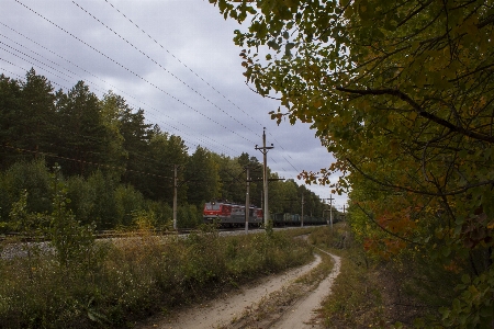 Train wagons railroad cargo transportation Photo