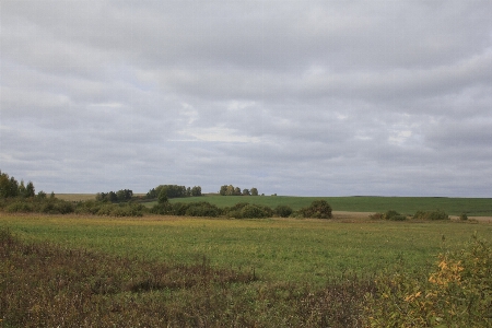 Landscape field meadow autumn Photo