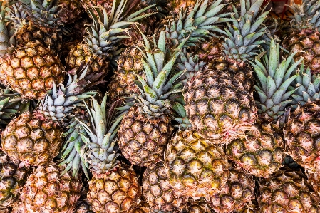 Pineapple natural foods ananas fruit Photo