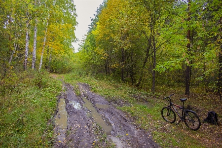 Dirt road bike track travel Photo