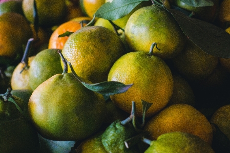 Citrus natural foods fruit mandarin orange Photo