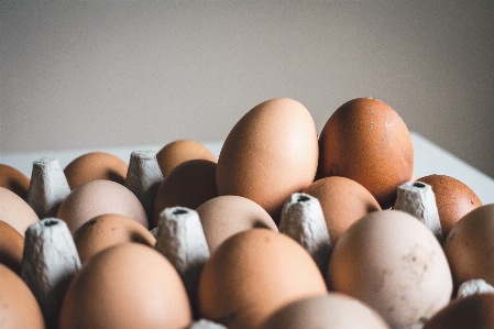 Egg brown food still life photography Photo