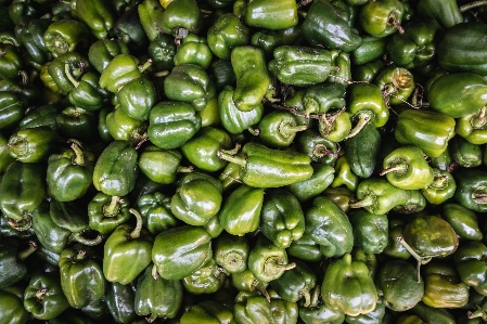 Natural foods vegetable bell peppers and chili plant Photo