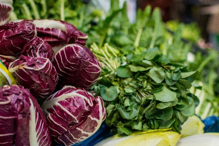 Local food leaf vegetable radicchio Photo