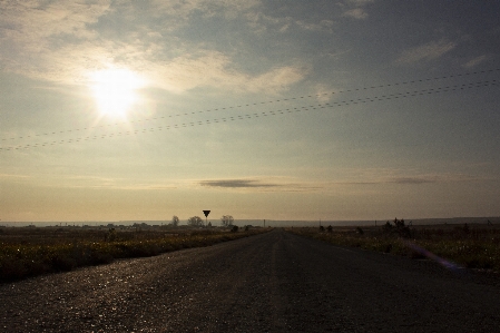 Field road tract meadow Photo