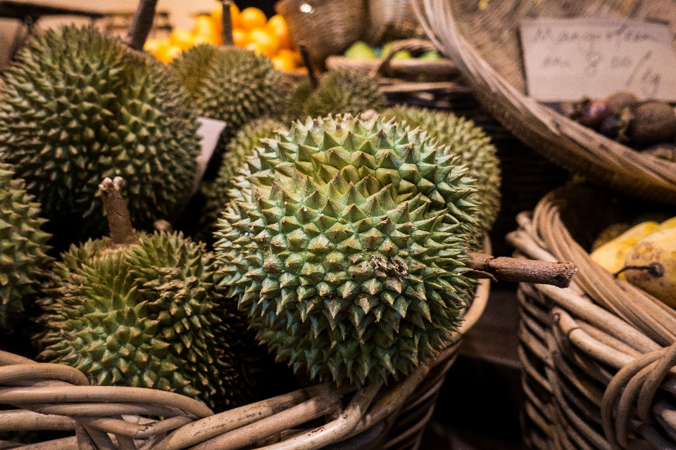 公共场所
 榴莲 植物 食物