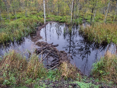 Image natural landscape environment nature reserve Photo