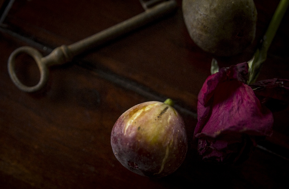 Rose figs dark fall