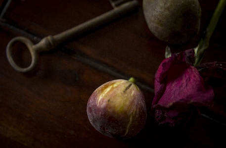 Rose figs dark fall Photo