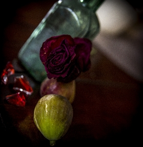 Rose figs feeling love Photo