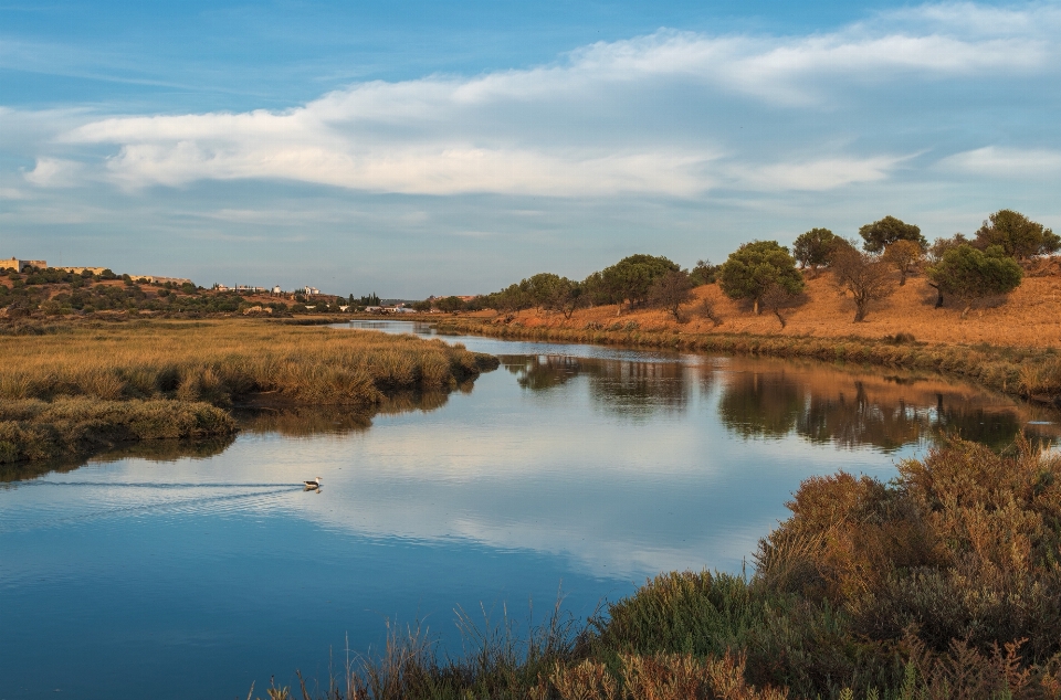 Landscape natural body of water reflection