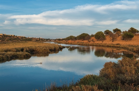 Landscape natural body of water reflection Photo