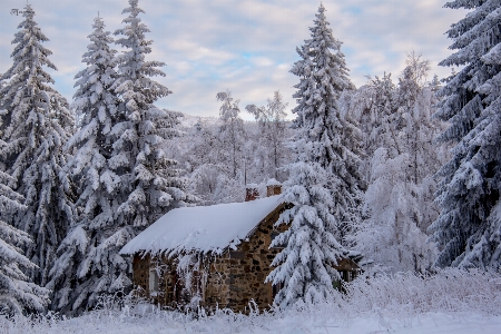 Home house winter mountain Photo