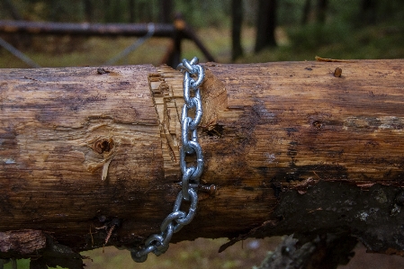 Log chain construction wooden Photo