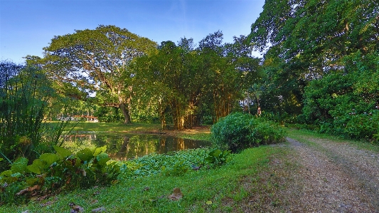 Landscape green garden natural Photo