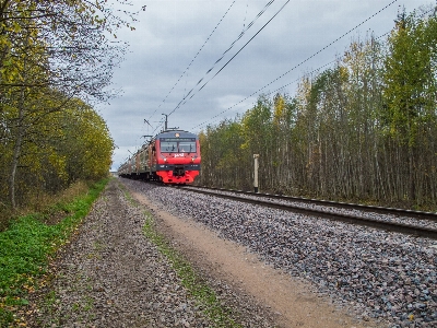 Bild landfahrzeug
 fahrzeug transport Foto